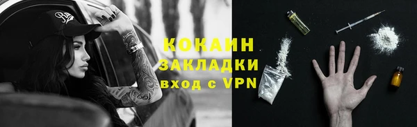 гидра Алексин