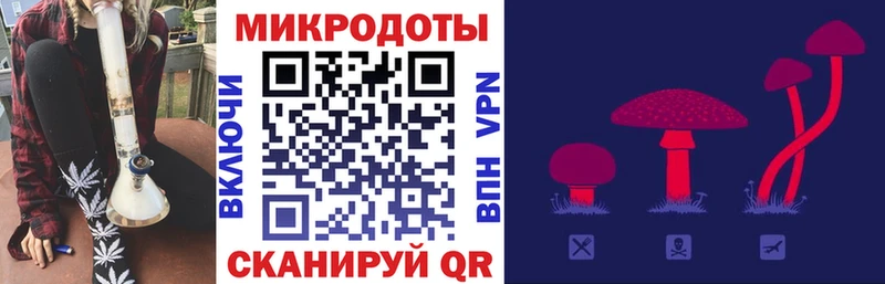 Галлюциногенные грибы Psilocybe  Кашин 